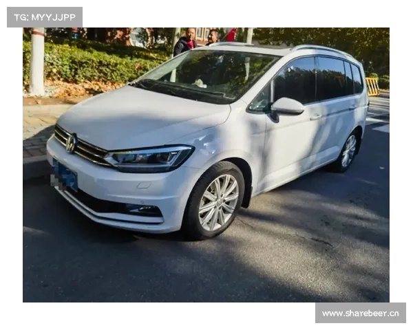 “大”有不同，试驾全新途安L