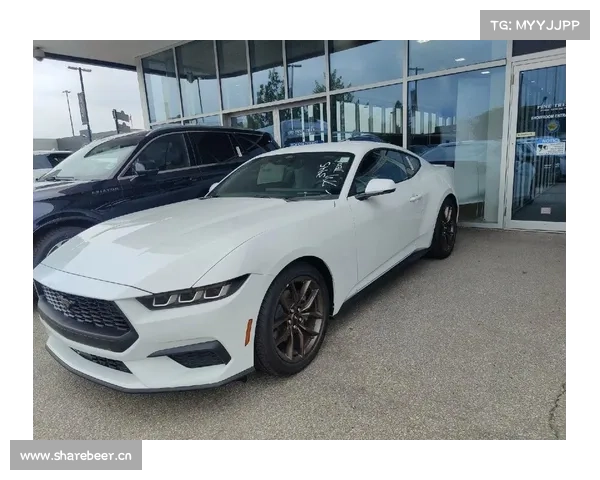 价值2537万的福特Mustang售出 史上最贵